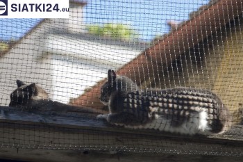 Siatki Myślibórz - Siatka na balkony dla kota i zabezpieczenie dzieci dla terenów Myślibórza